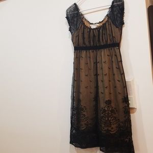 Max Studio lace dress